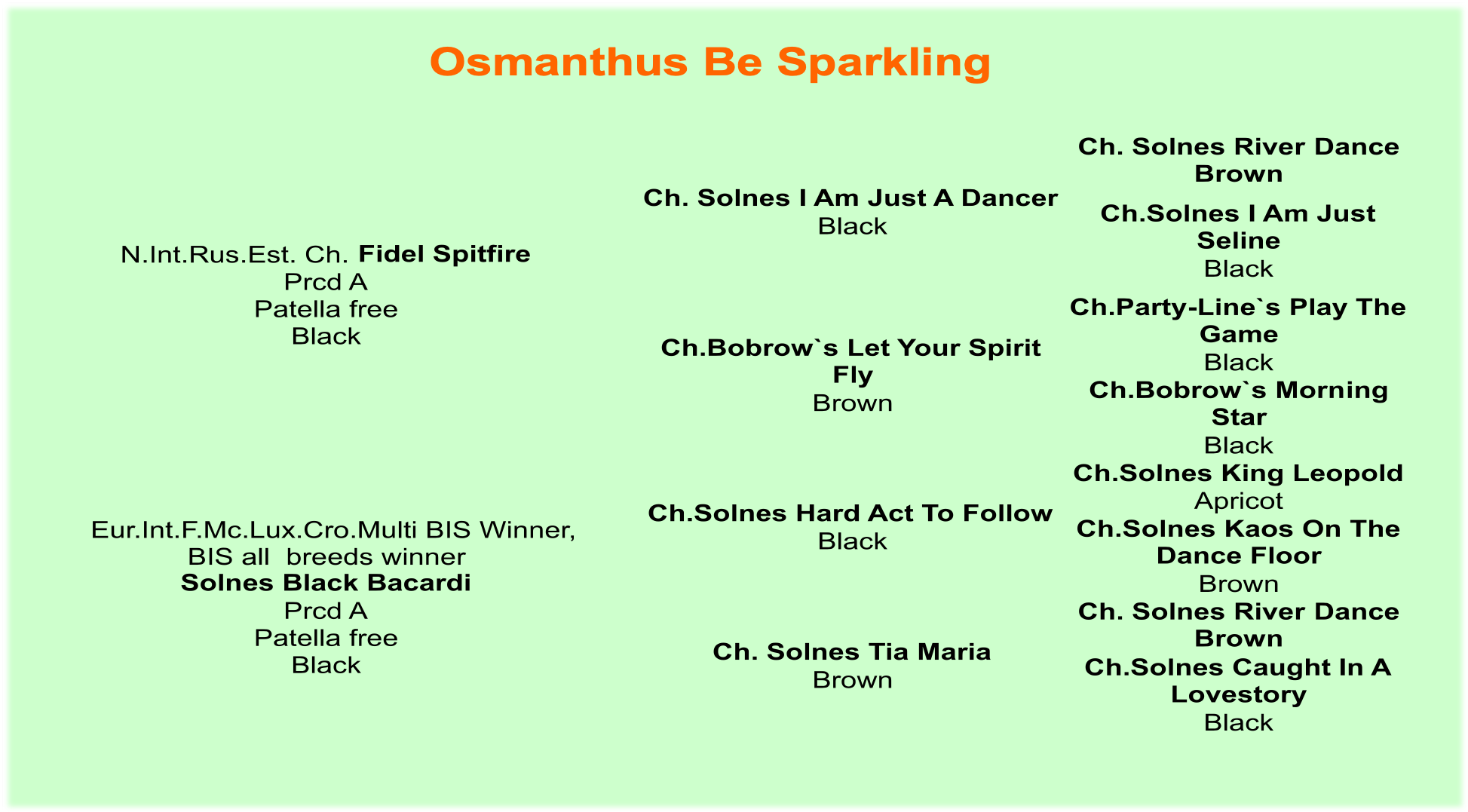 osmanthus_be_sparkling